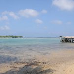 瓦努阿图护照办理所需要的的费用贵吗?